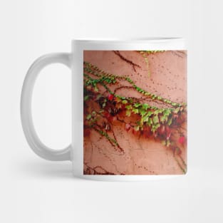 Ivy on Wall 1 Mug